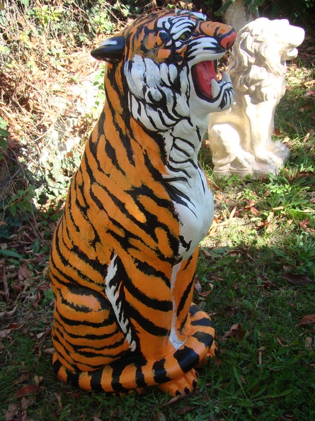 tiger 03.JPG
