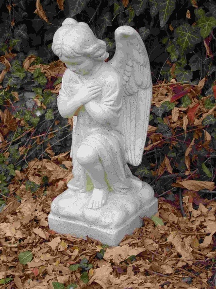 angel s golemi krila 01.jpg